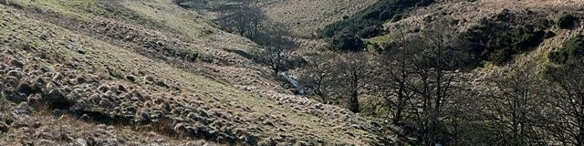 Cwm Egnant The upper part of the valley between the two former farmsteads. The area is not often open to the public but it is a non-firing day and the red flags are down.