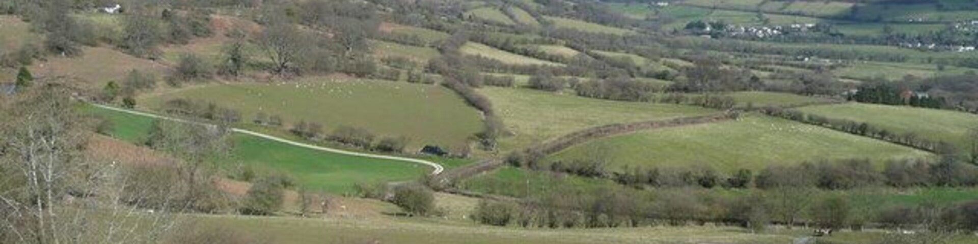 View over Penlan This is a broad sweeping view north-east across the Rhiangoll towards Cwmdu.