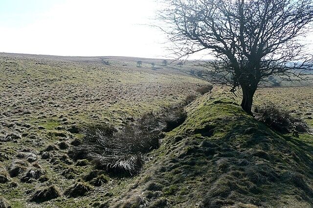 A barren landscape with a single tree on a grassy hill, a narrow path, and distant hills.