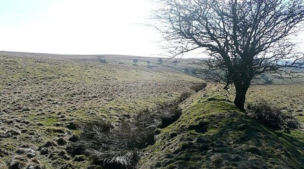 A barren landscape with a single tree on a grassy hill, a narrow path, and distant hills.