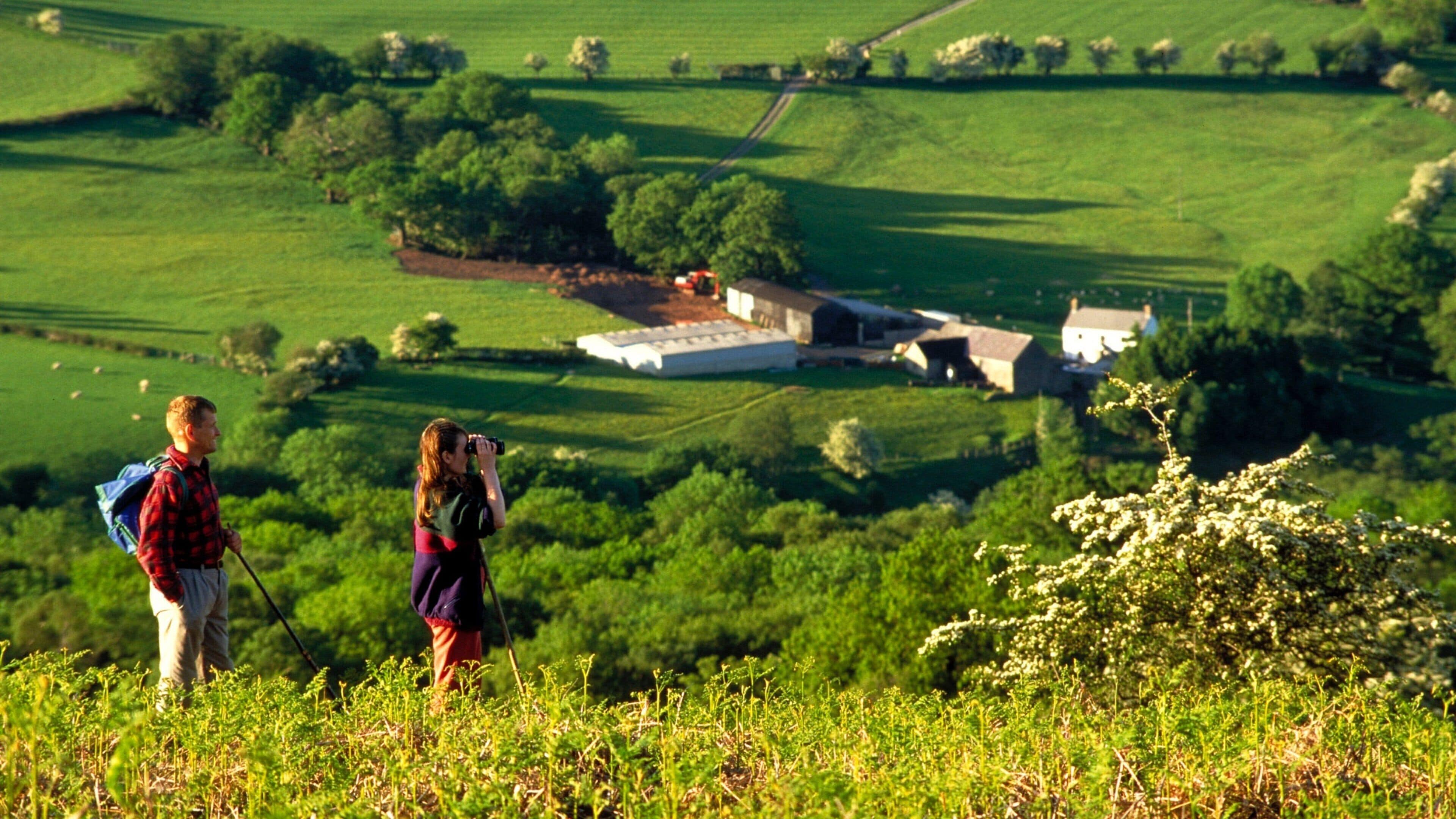 A rural landscape with rolling green fields, a few scattered trees, and a small cluster of buildings in the distance.