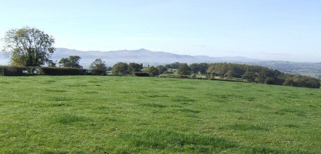 Pasture west of Heol-y-Cefn In the distance; Pen-y-fan and the rest of the Brecon Beacons.