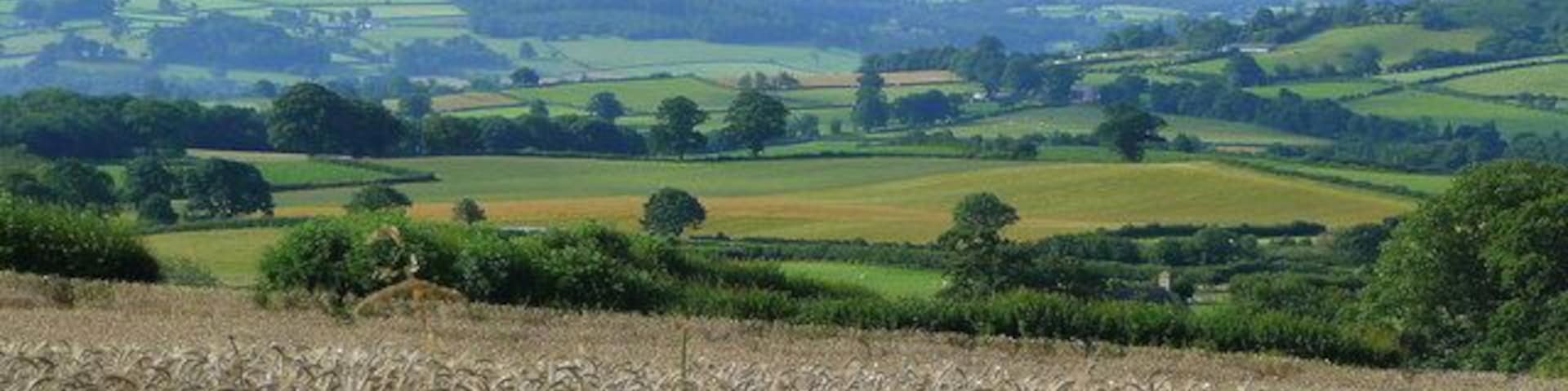 Barley land at Garthbrengy 2 View south over farmland north of Brecon towards the familiar outline of the Beacons in the blue distance.