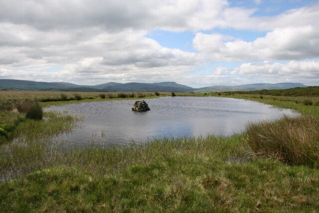 A wetland with a small island in the center, surrounded by grassy fields and distant mountains under a cloudy sky.