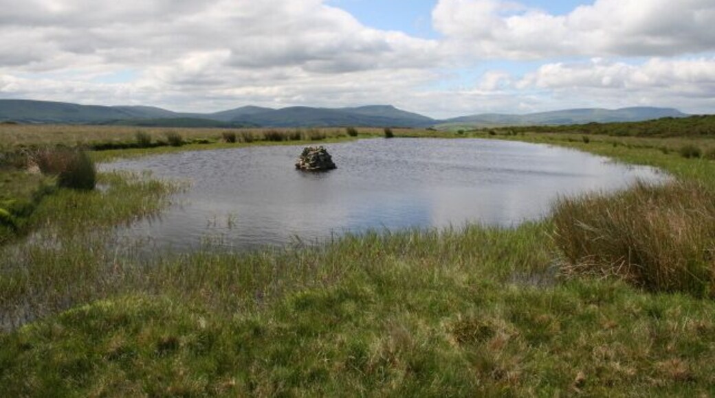 A wetland with a small island in the center, surrounded by grassy fields and distant mountains under a cloudy sky.