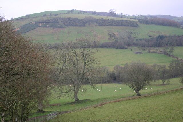 Looking across the Nant y Gof Valley From the lane up to Pen-y-lan looking across the Nant y Gof Valley