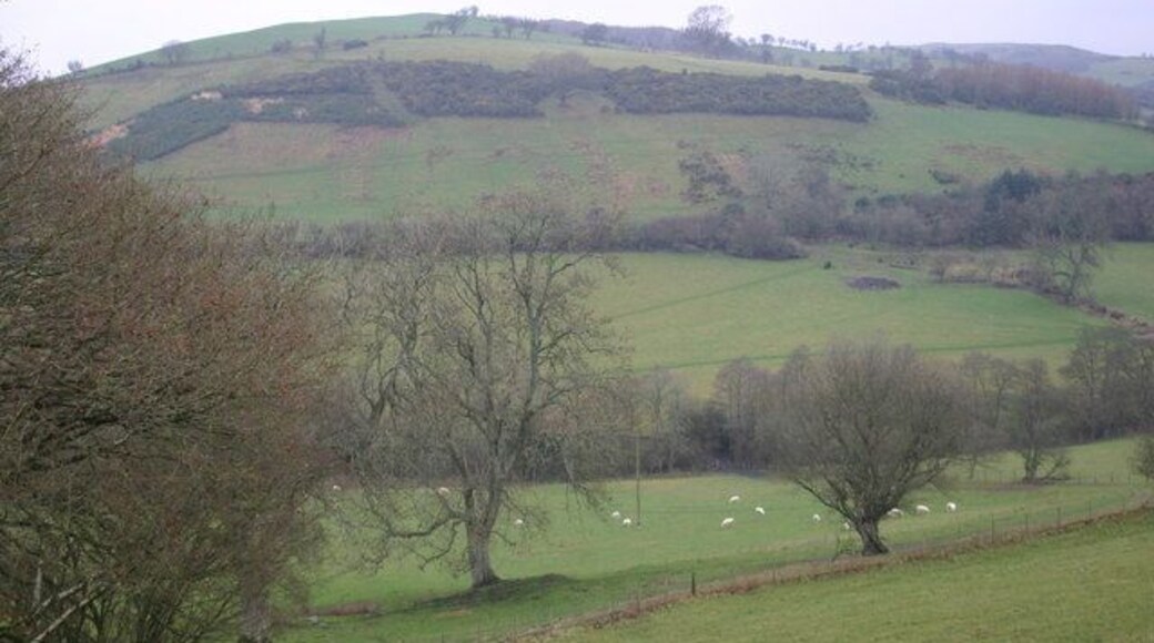 Looking across the Nant y Gof Valley From the lane up to Pen-y-lan looking across the Nant y Gof Valley