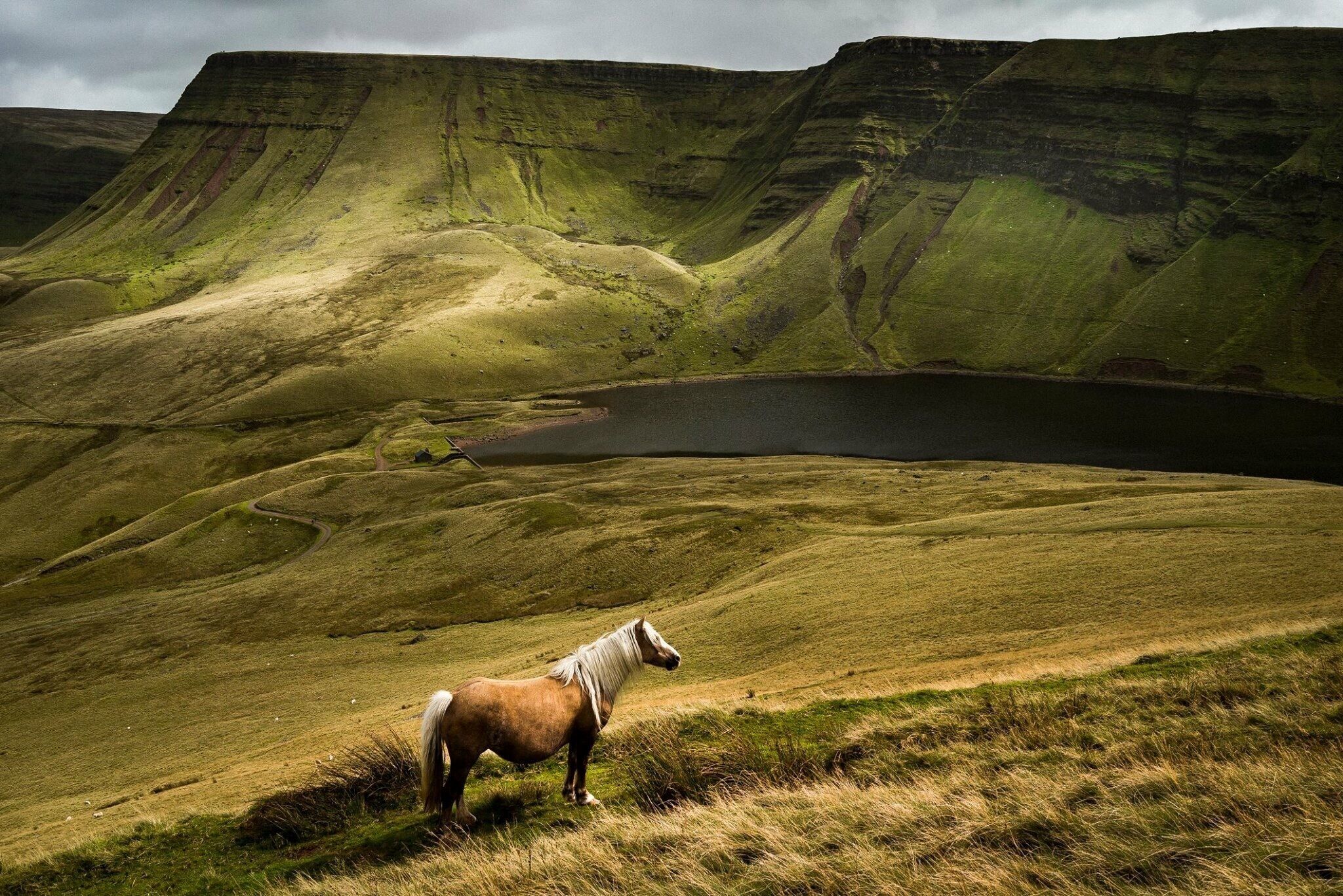 Un caballo en una colina cubierta de hierba, con un lago y acantilados al fondo.