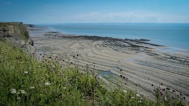 Paisagem costeira com falésias, uma praia e áreas de maré.