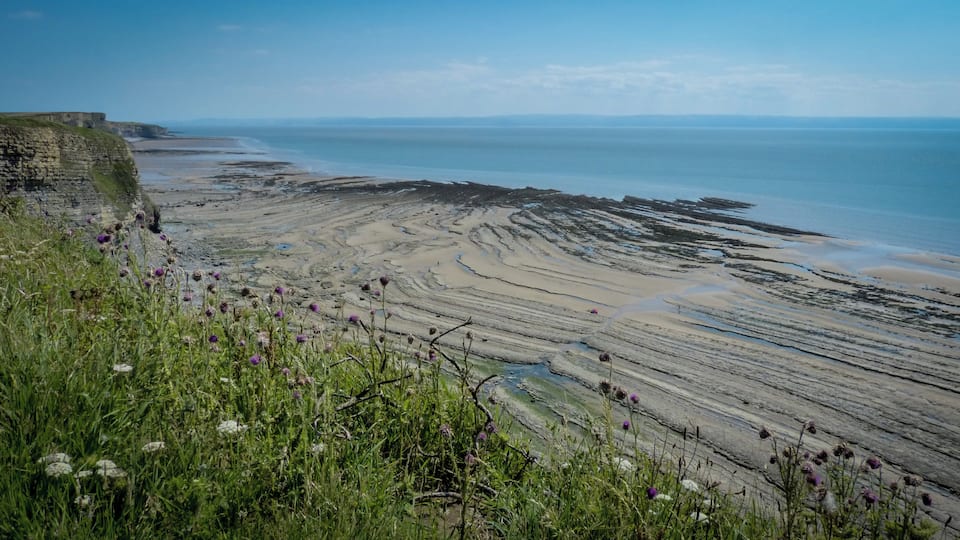 A coastal landscape with cliffs, a beach, and tidal flats.