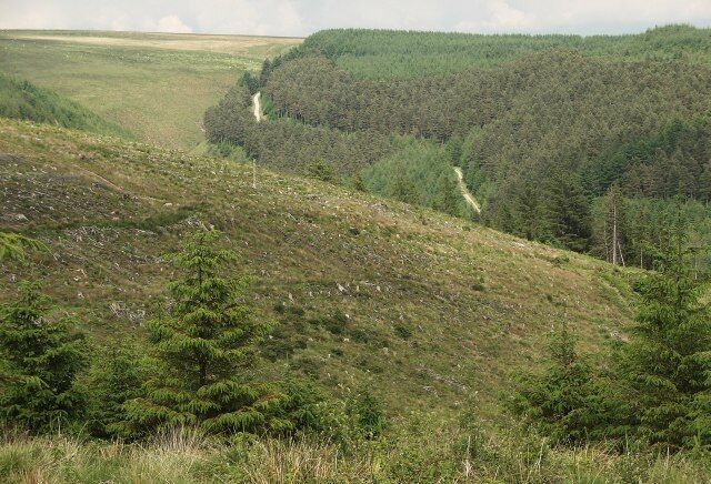 A clearing and a view at Ogmore Forest In the foreground can be seen a small part of a large area cleared of trees in the middle of Ogmore Forest. The clearance may have given the forest a rather desolate character, but has at least opened up views such as the one here over the valley around Nant Iechyd to the forest's eastern end.