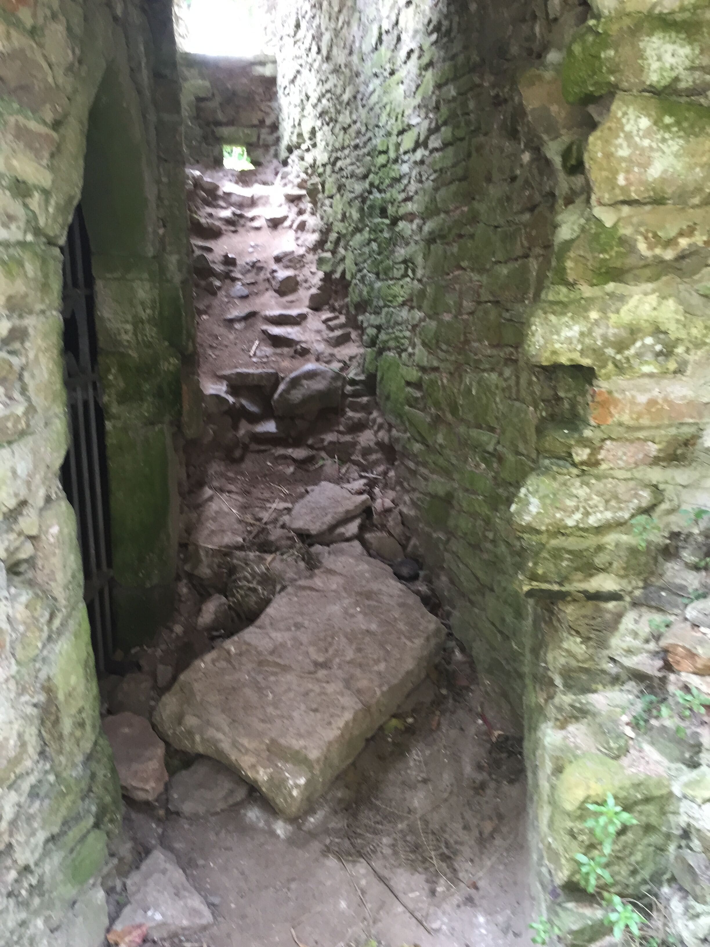 A narrow stone pathway flanked by moss-covered walls, leading to a gate.