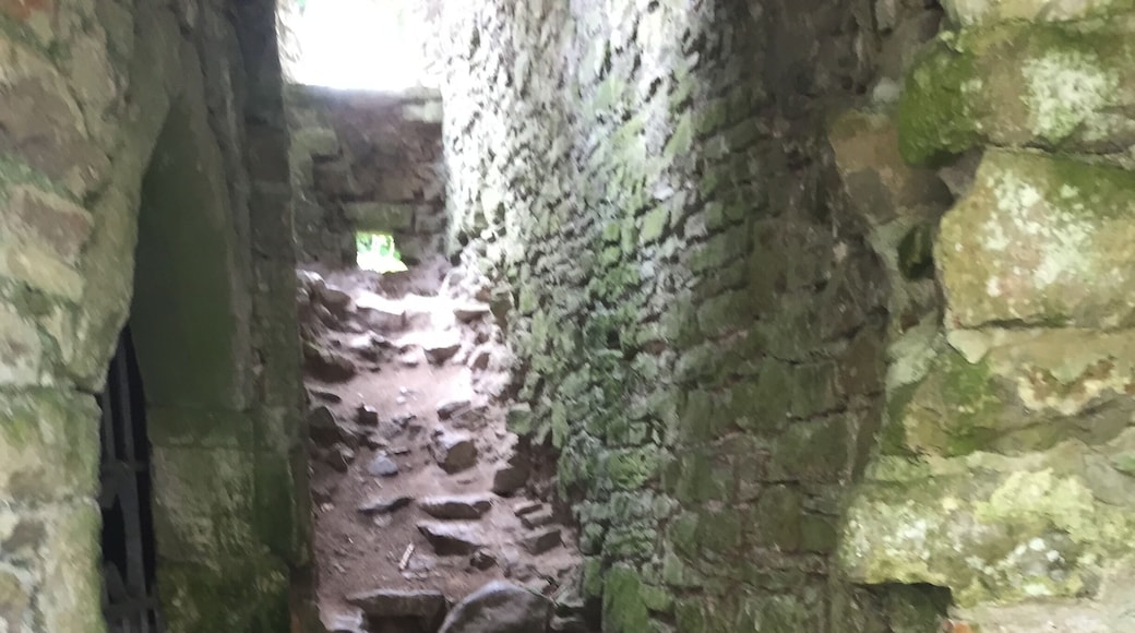 A narrow stone pathway flanked by moss-covered walls, leading to a gate.