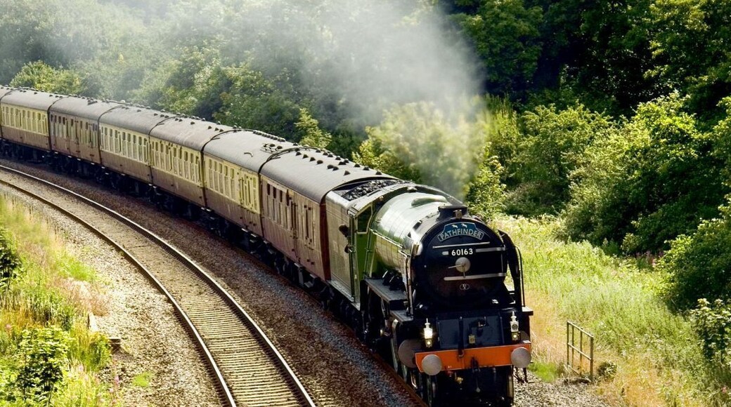 A steam locomotive with the number 60163 on a railway track surrounded by lush greenery.