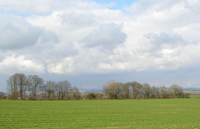 A green field with trees in the distance under a cloudy sky.