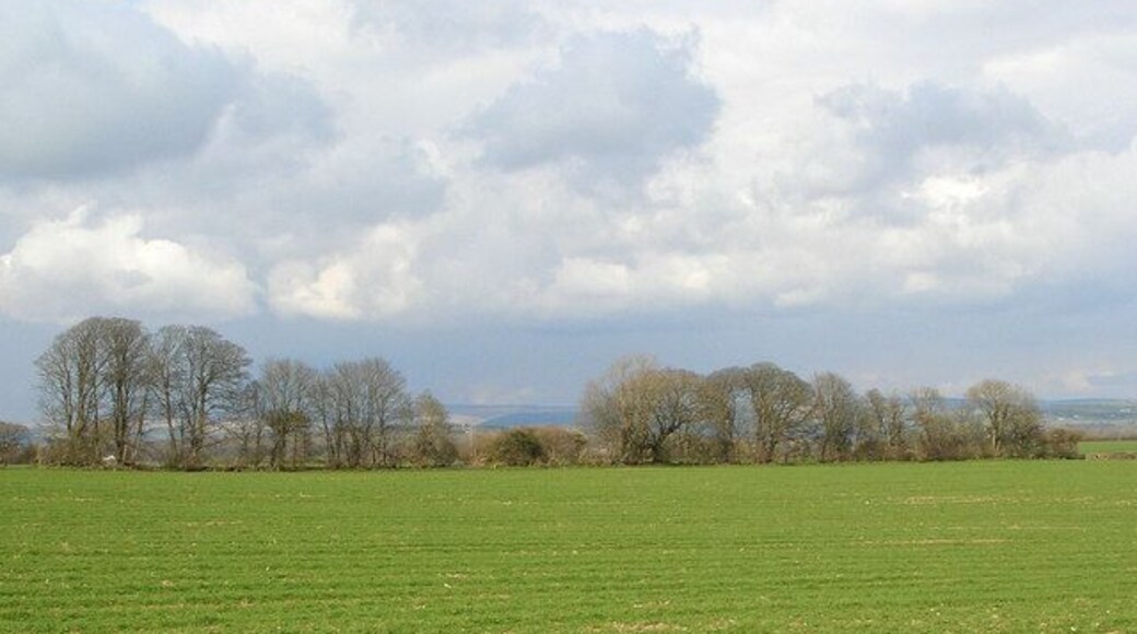 A green field with trees in the distance under a cloudy sky.