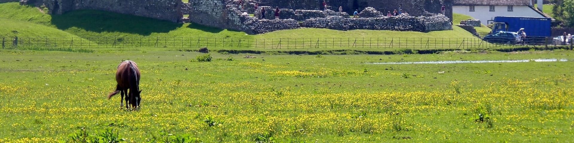 Ogmore castle, seen across the flood plain from the footbridge at Merthyr Mawr