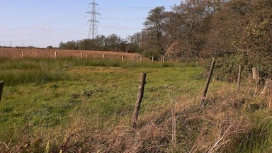 Paisagem rural com uma torre de linhas de energia, campos gramados e uma cerca.