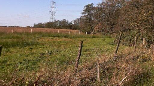 Pasture and Pylons at Bryngarn