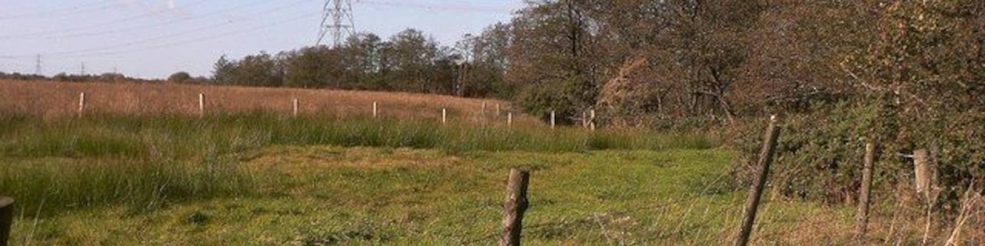 Pasture and Pylons at Bryngarn