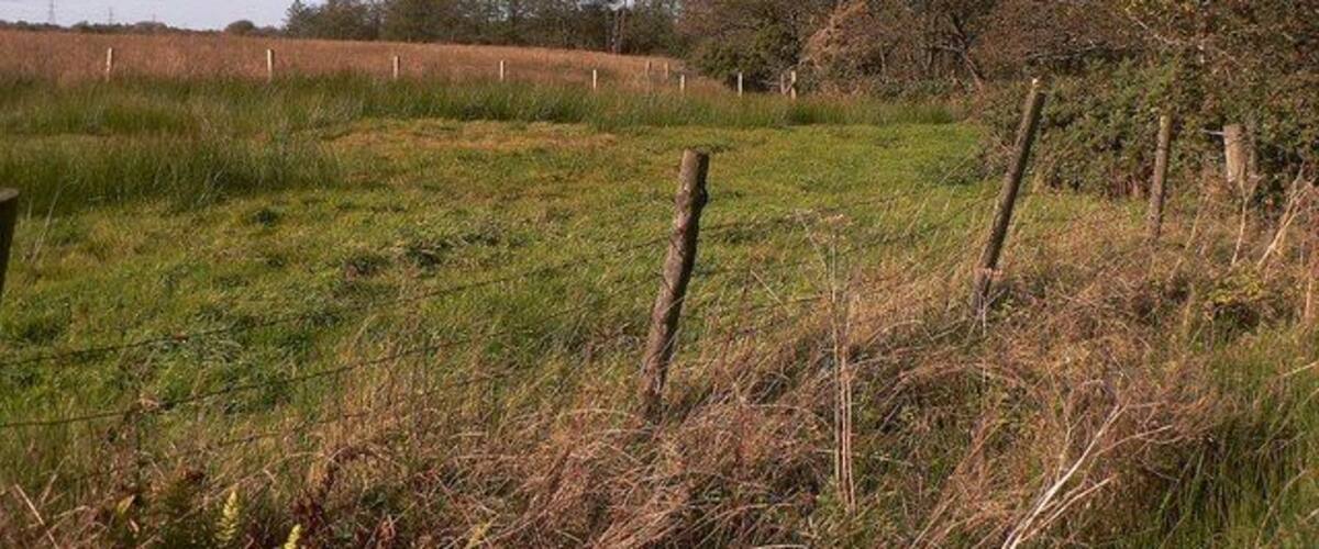 A rural landscape with a power line tower, grassy fields, and a fence.