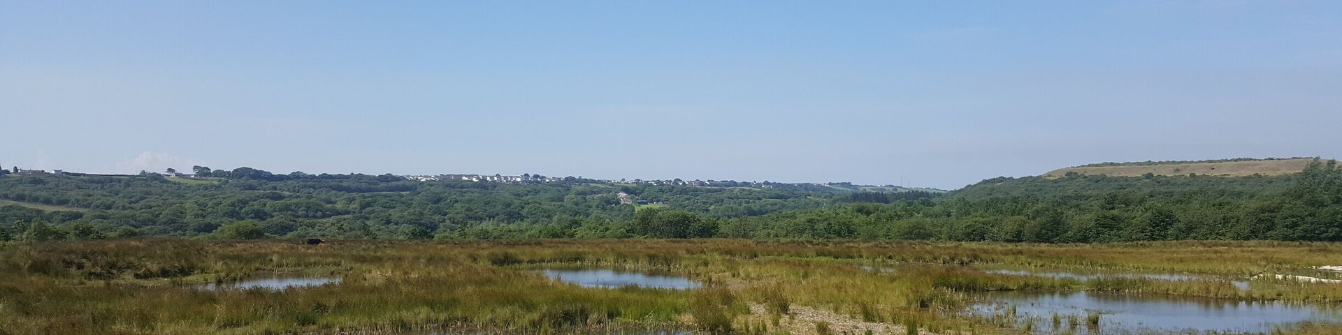 A wetland with multiple ponds surrounded by grassy areas and dense forest.
