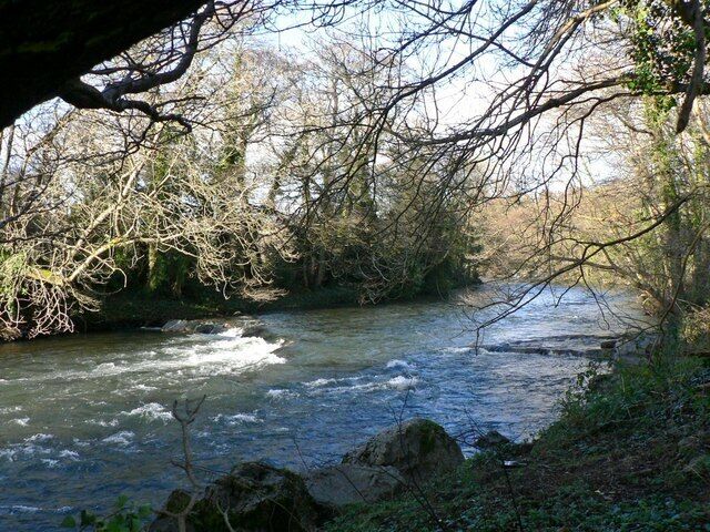 Un río serpenteando por una zona boscosa con rocas y árboles.
