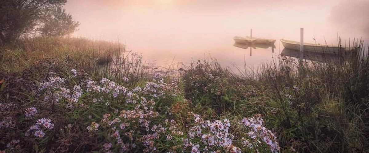 #llynnnantlle #northwales #snowdonia #misty #dawn #wildflowers