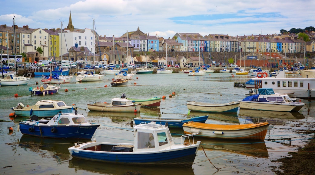 Caernarfon welches beinhaltet Marina, Kleinstadt oder Dorf und Bootfahren