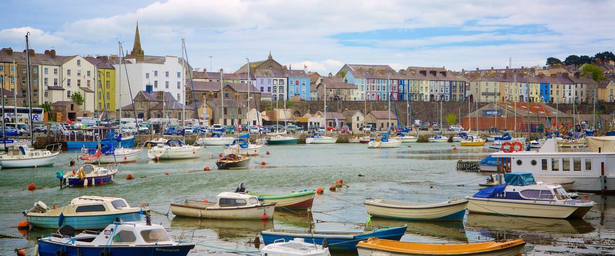 A harbor with numerous small boats docked, colorful buildings in the background, and a prominent church steeple.