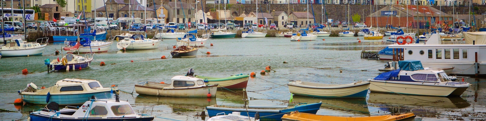 A harbor with numerous small boats docked, colorful buildings in the background, and a prominent church steeple.