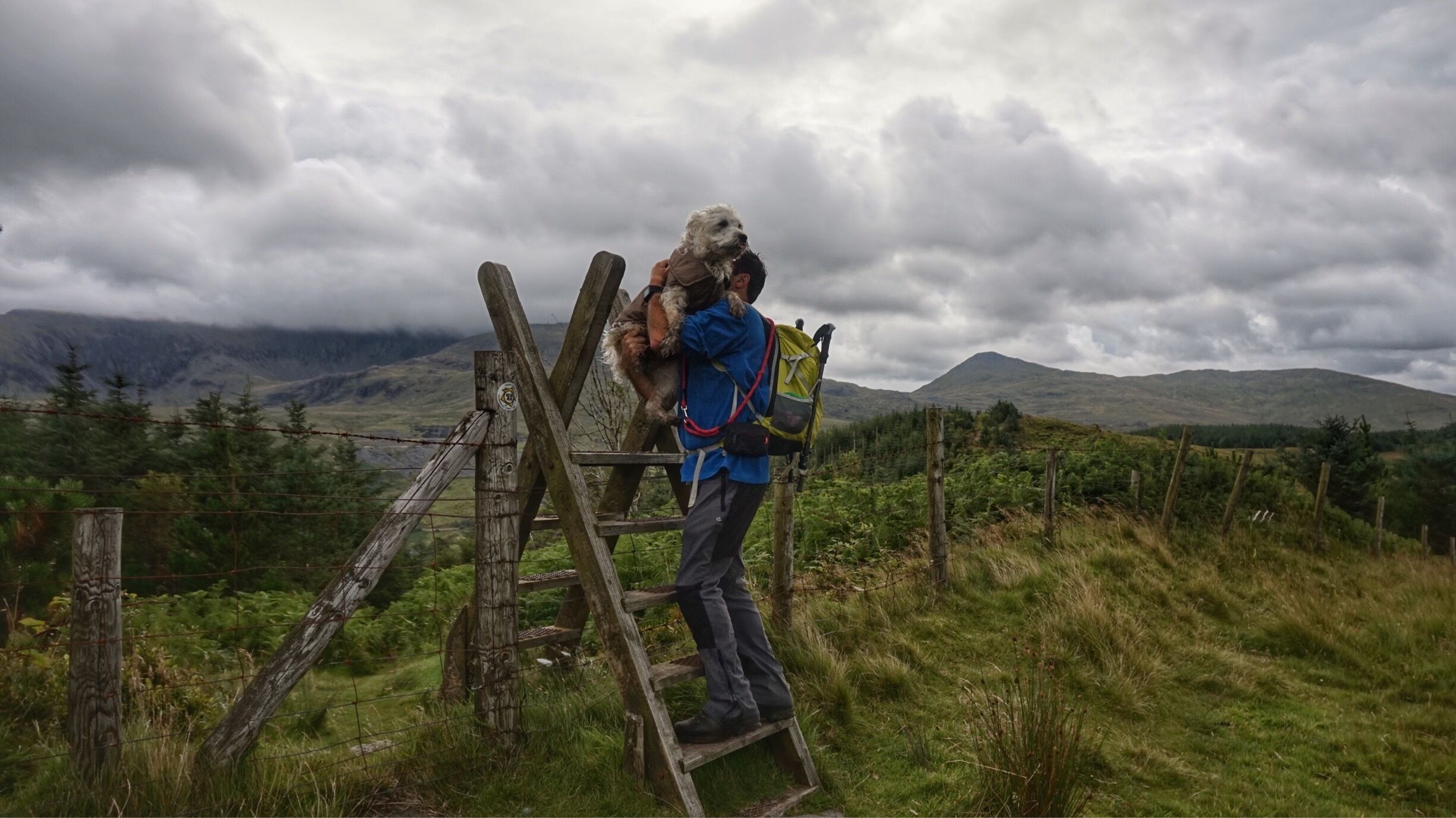 Poppy dog needs to practice jumping over stiles 😂