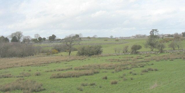 Rough grazing in a hollow between drumlins