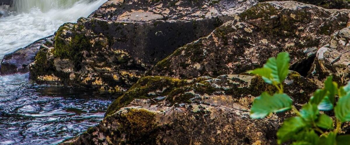 Had a lovely walk along this river near Beddgelert in North Wales.