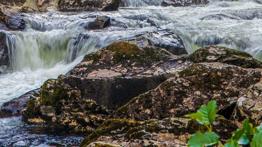Had a lovely walk along this river near Beddgelert in North Wales.