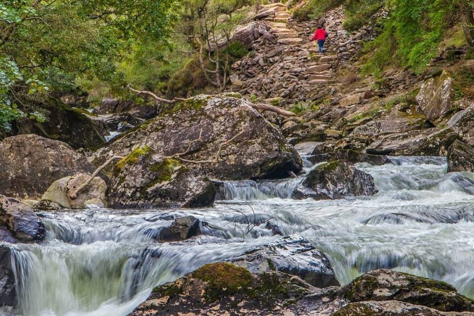 Um rio pedregoso com uma pessoa caminhando por um caminho de pedra, cercada por vegetação exuberante.