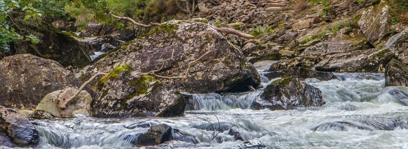 Had a lovely walk along this river near Beddgelert in North Wales.