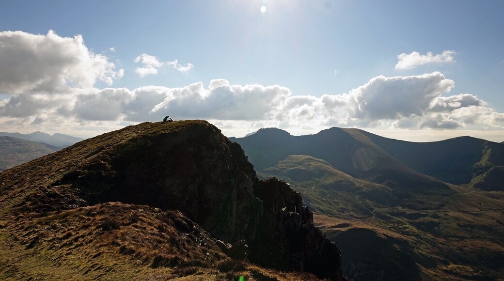 One man and his dog on Mynydd Mawr Snowdonia