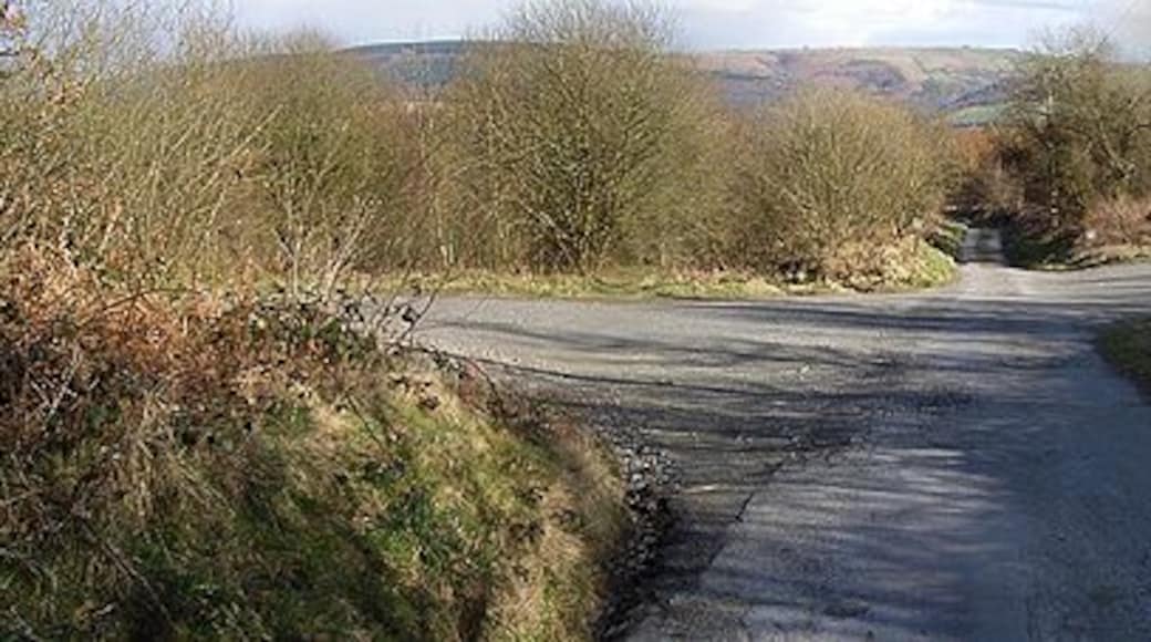 Un camino rural estrecho bordeado por vegetación y colinas al fondo.