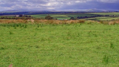 A grassy field with rolling hills and scattered trees in the distance under a cloudy sky.