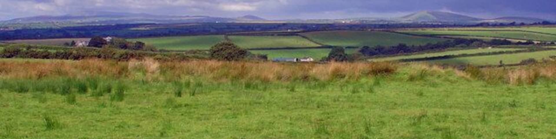 Rough pasture: Caerlesi Common, Trelech Frenni Fawr (SN203349) is on the horizon, 12 km away. Clungarthen Farm (SN305302) is in the centre of the view.