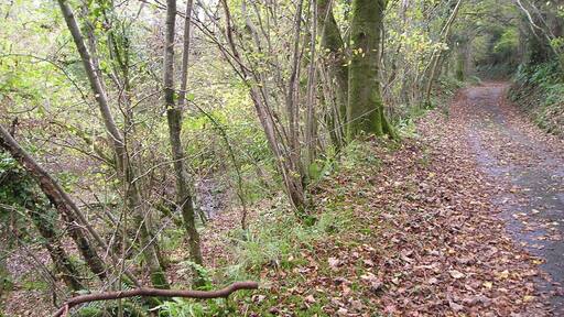 Hidden gorge The ground drops away steeply to the left of the road with a small stream in a deep cleft.