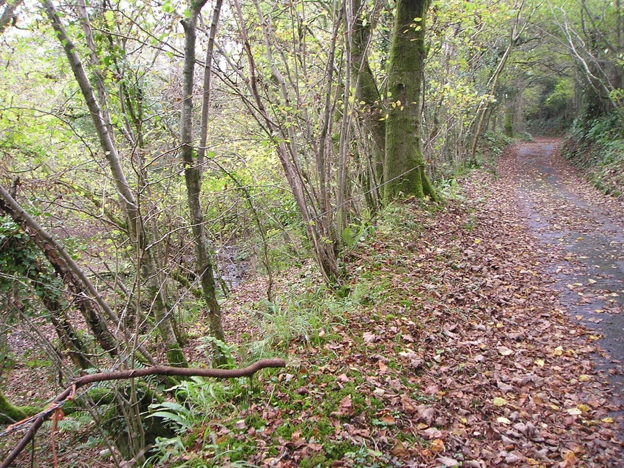 Hidden gorge The ground drops away steeply to the left of the road with a small stream in a deep cleft.