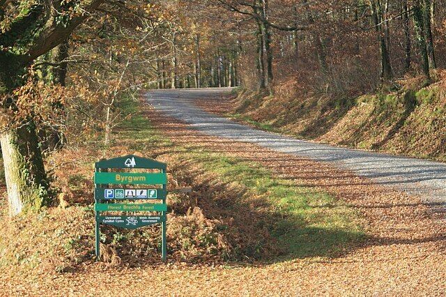 Una señal de carretera con 'Brynfael' y 'PENWAL', rodeada de árboles y hojas caídas.