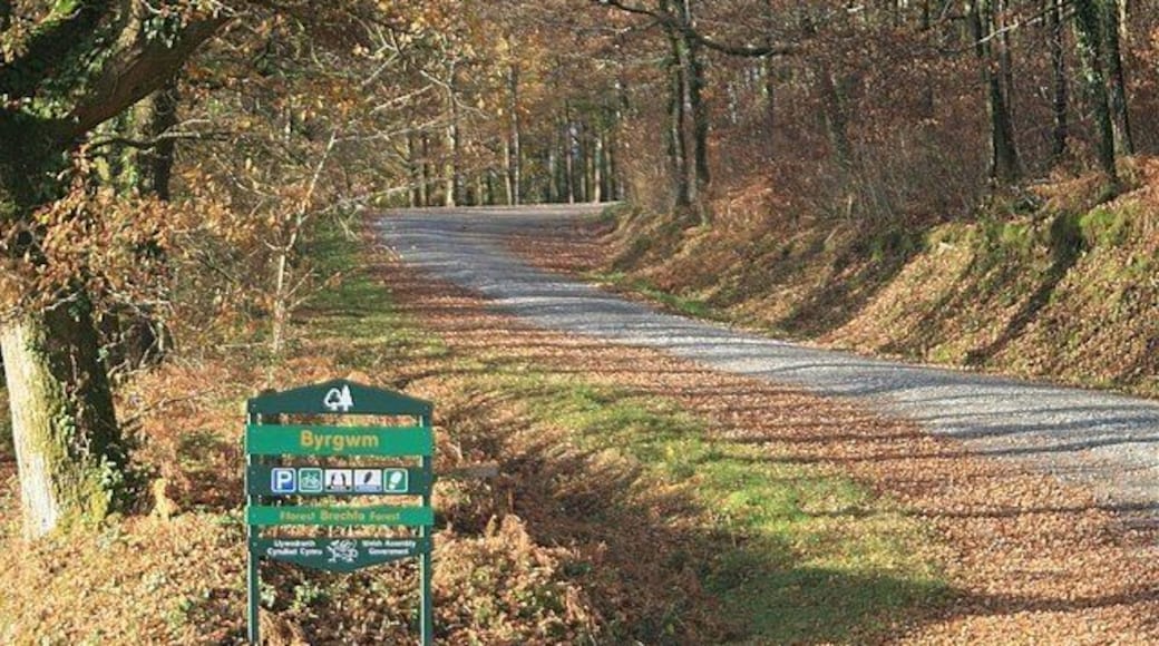 Una señal de carretera con 'Brynfael' y 'PENWAL', rodeada de árboles y hojas caídas.