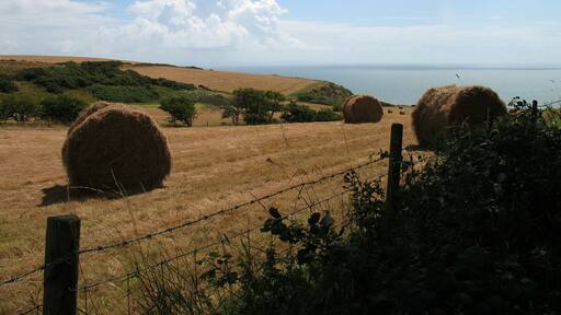 HAYMAKING BY FOOTPATH BETWEEN MARROS CHURCH AND BEACH.