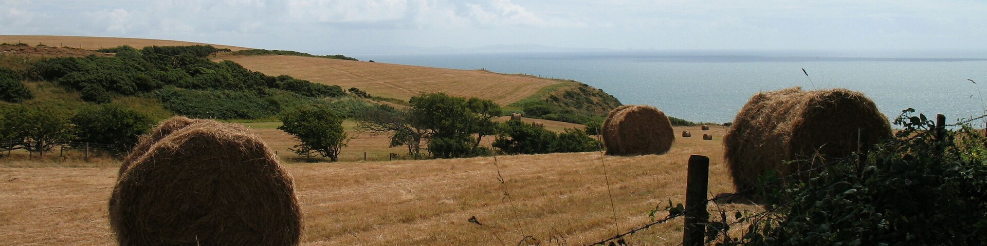 HAYMAKING BY FOOTPATH BETWEEN MARROS CHURCH AND BEACH.