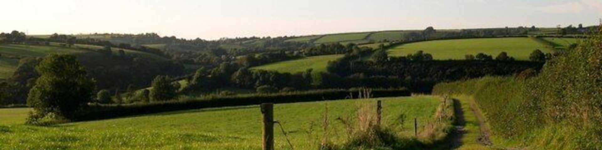 View down to Penybont and Esgerfryn
