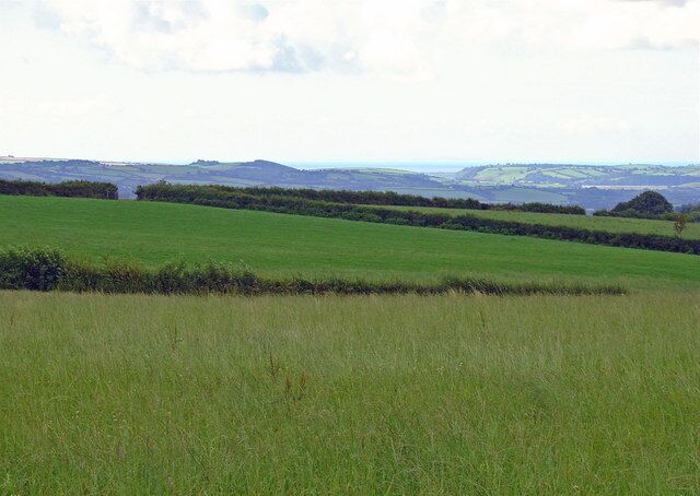 A green field with a line of trees in the distance and rolling hills in the background.