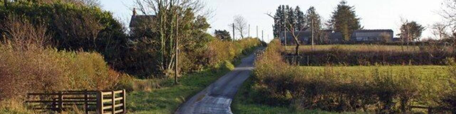 Lane near Coynant, Aber-nant